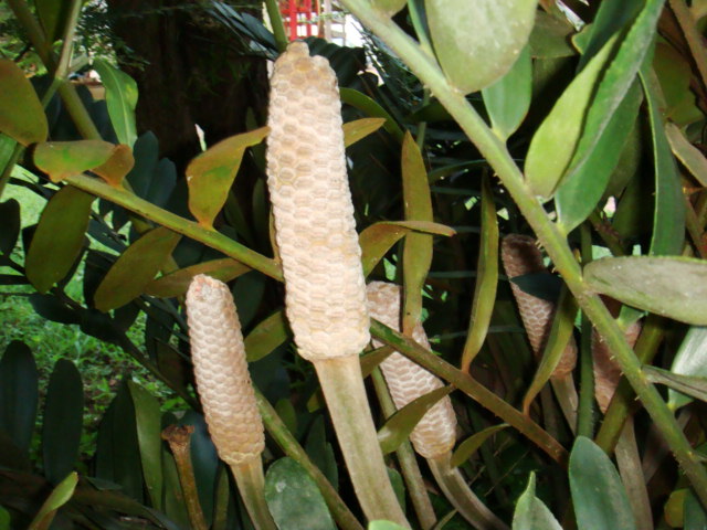 bwy1313105496w.JPG