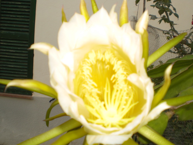bwy1313137027j.JPG