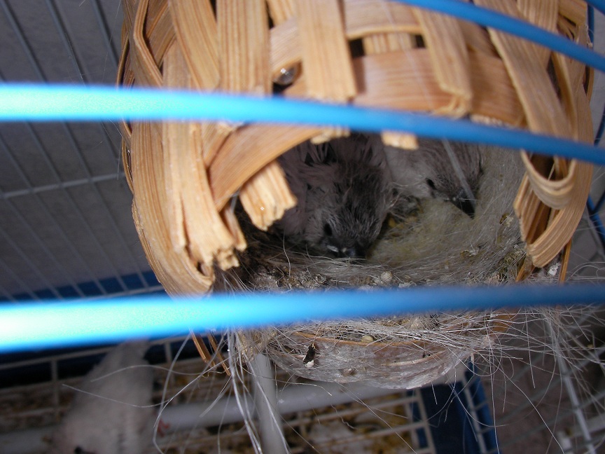 bwy1313149838l.JPG