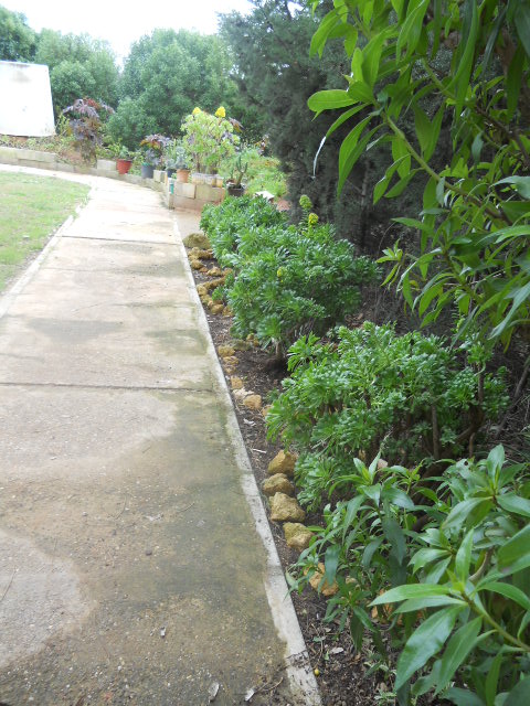 bwy1313364242j.JPG