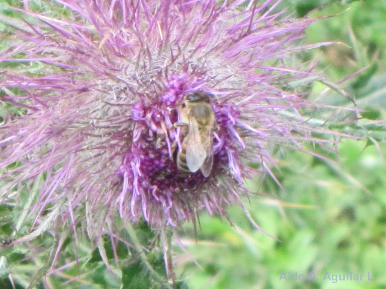 bwy1313442558j.JPG