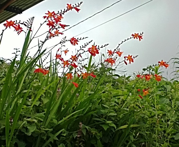 bwy1313457569v.JPG