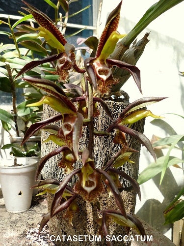 bwy1313516533m.jpg