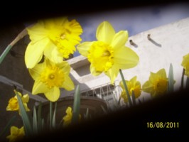bwy1313522795y.JPG