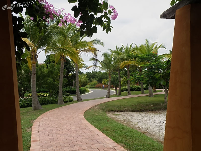 bwy1313686570e.jpg