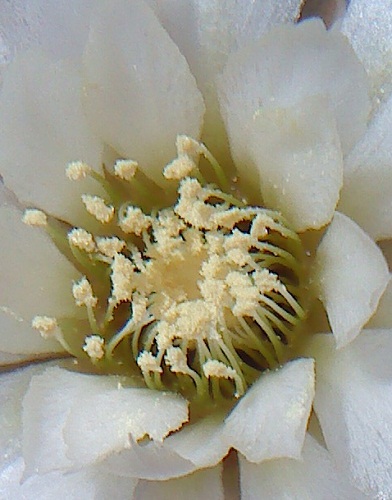 bwy1313783475q.JPG