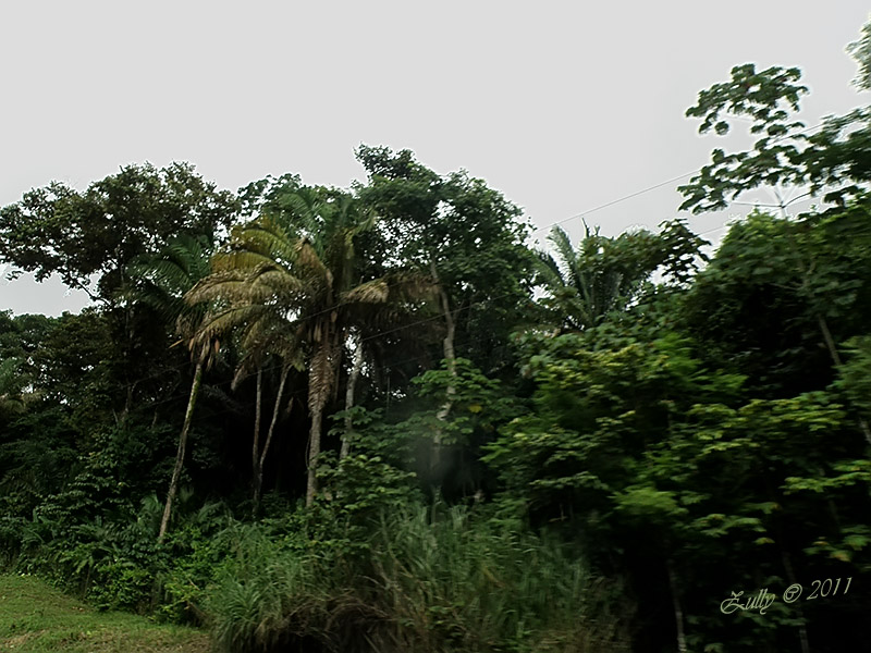 bwy1313793577e.jpg
