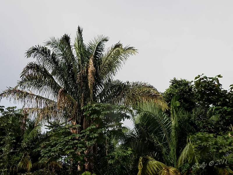bwy1313793644r.jpg