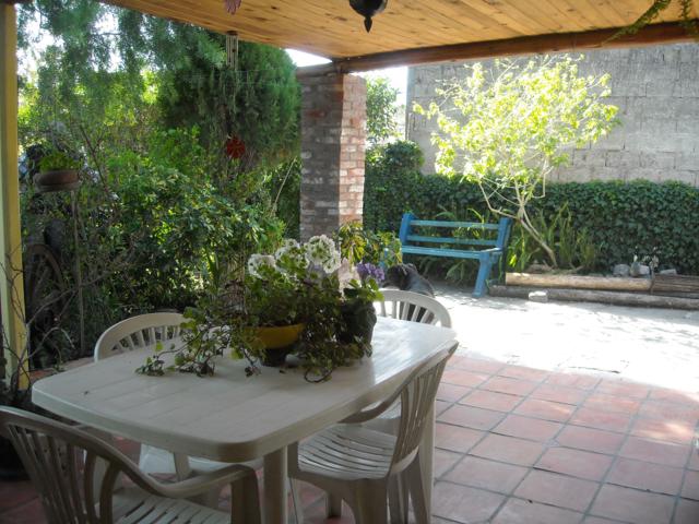 bwy1315948756o.jpg