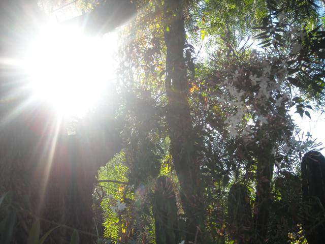 bwy1315954484u.jpg
