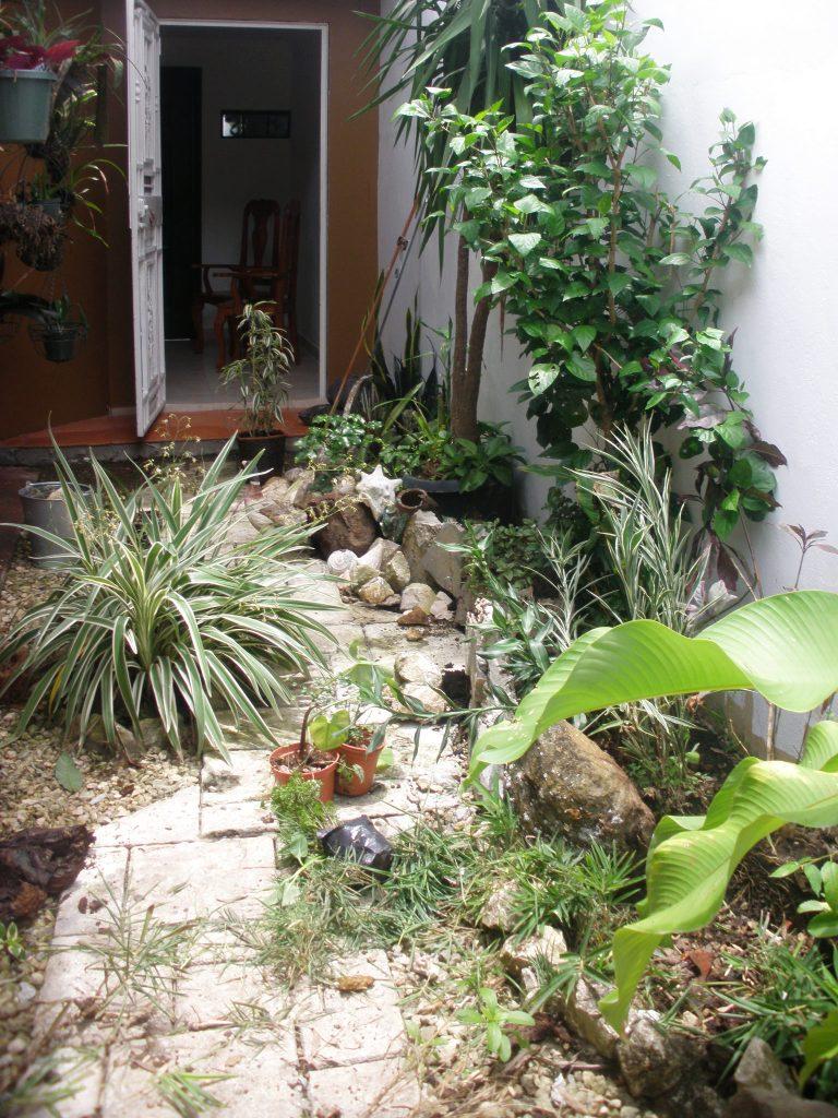 bwy1316009198j.JPG