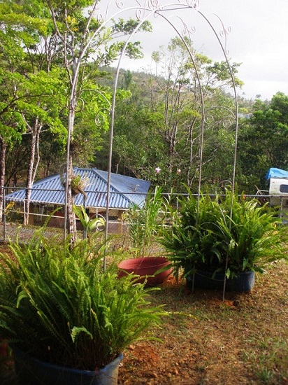 bwy1328576519a.JPG