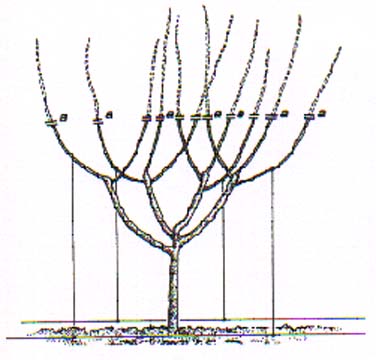 bwy1334402292h.jpg