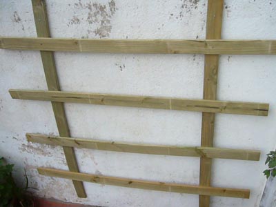 bwy1338674730i.JPG
