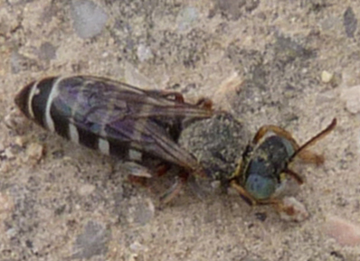 bwy1340132084o.jpg