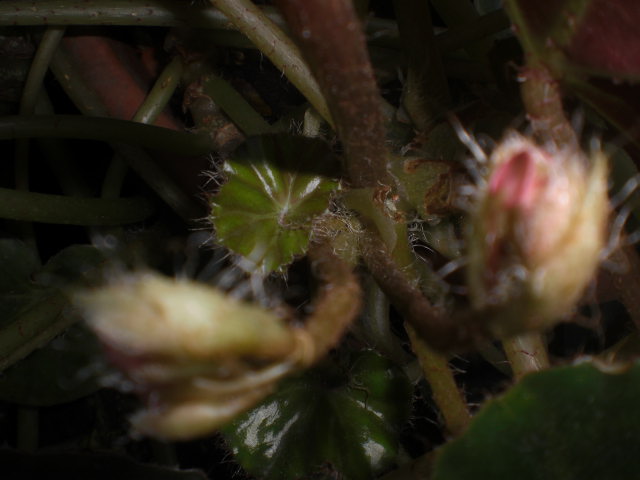 bwy1360404055u.JPG
