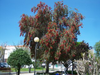 bwy1360874562x.jpg
