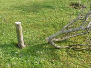 bwy1360951857w.jpg