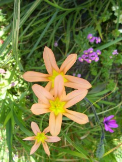 bwy1361117574j.jpg
