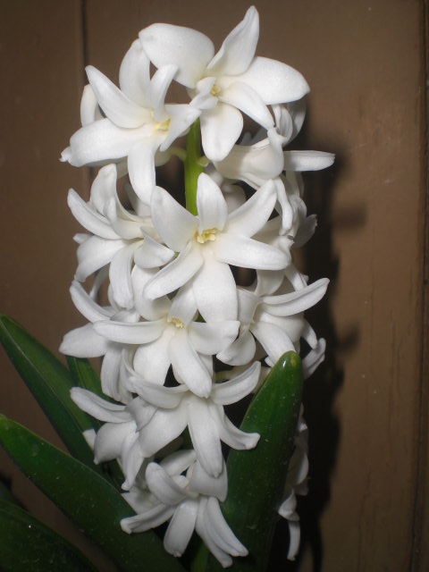 bwy1363626908u.JPG