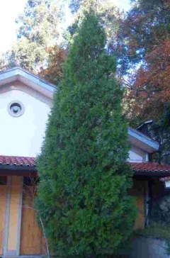 bwy1364032197r.jpg