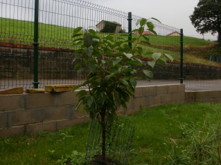 bwy1380132432a.jpg