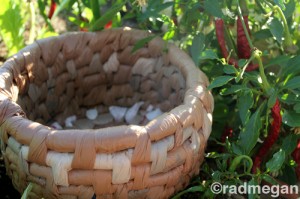 C%C3%B3mo-hacer-una-canasta-con-bolsas-de-plastico-2-300x199.jpg
