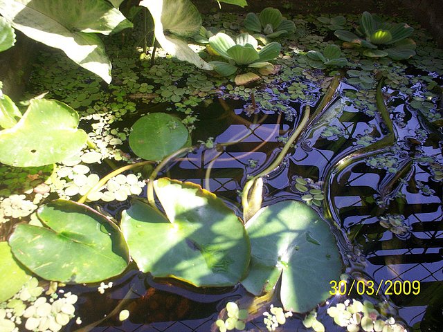 c197da0354610e6bc486b4d021ba7579o.jpg