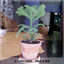 c1a3aaf73a54345f56ce437a06fb7b3do.jpg