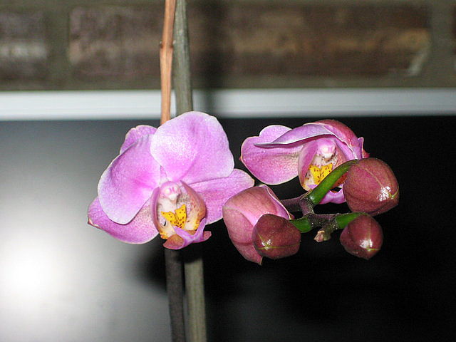 c23c4f74.jpg