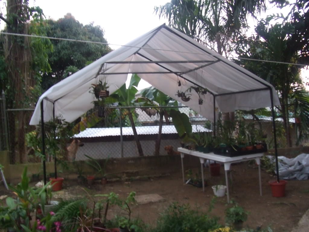 c2d31d55.jpg