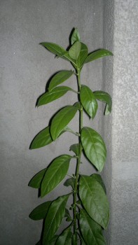 c30591242324847.jpg