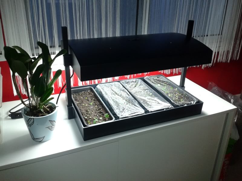 C360_2012-11-14-07-42-08.jpg