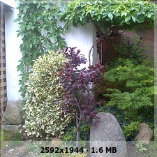 c41e5bd692b72d8898eeb56050c29c11o.jpg