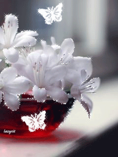 c5a586601b76d9132a14ed75e33a1fc7.gif