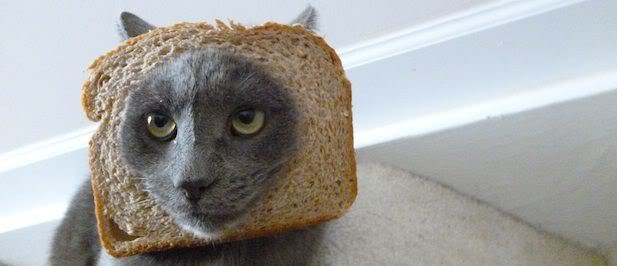 c617x266_breading.jpg