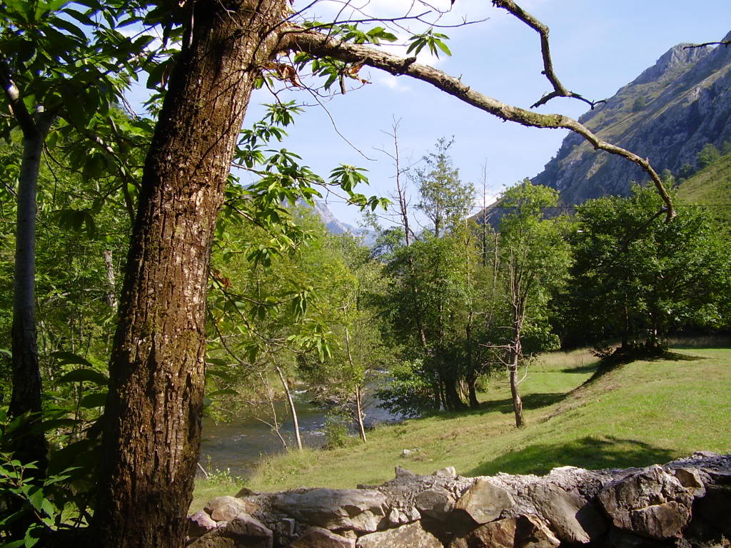 c71a035a.jpg