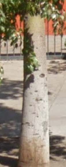 c7rcVHE.png