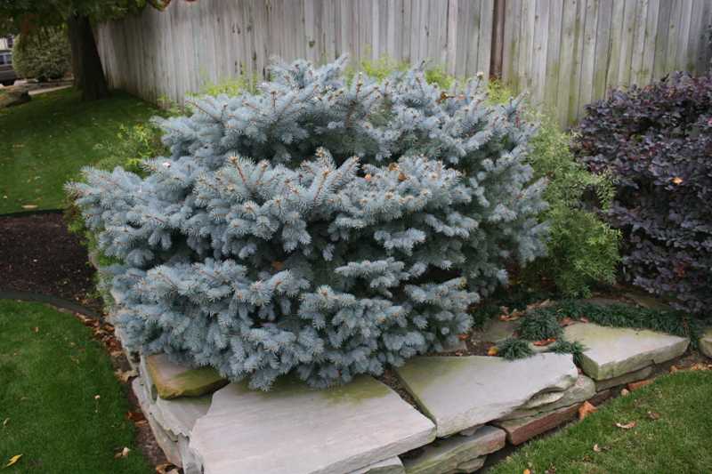 C825-1201060js.jpg