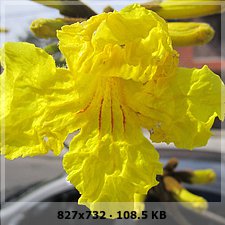 c8f98675ad4cf8d1537a78b3835cb4d4o.jpg