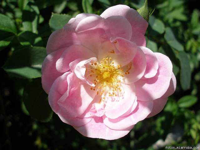 c987bfae.jpg
