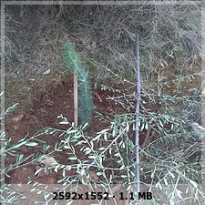 ca41c2b42a0a476db321063a97d95ae0o.jpg