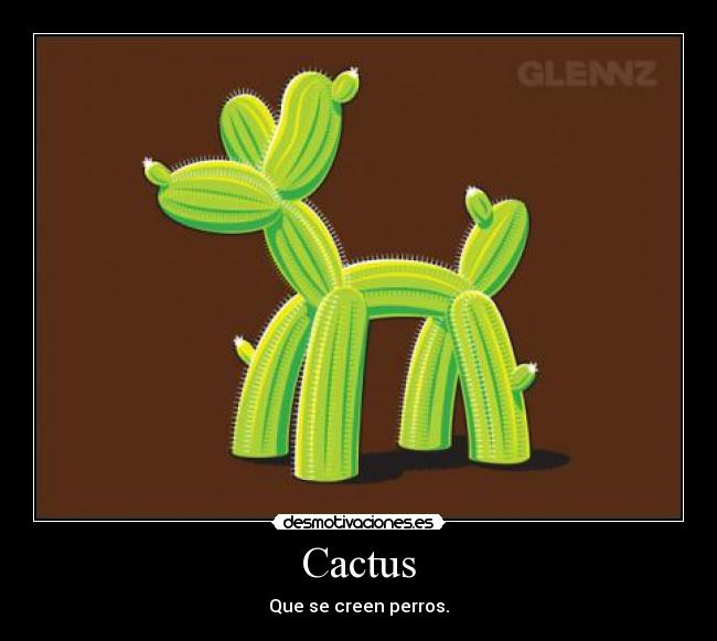 caactuss.jpg