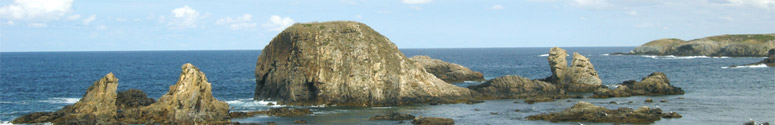 cabecera3.jpg