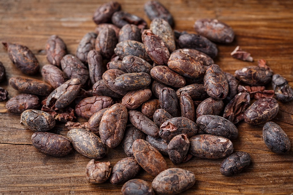 cacao-bean-2522918_960_720.jpg
