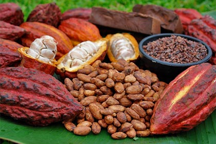 Cacao_londres.jpg