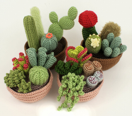 cacti_succulents.jpg