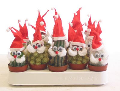 CACTUS%2BNAVIDE%25C3%2591OS.jpg
