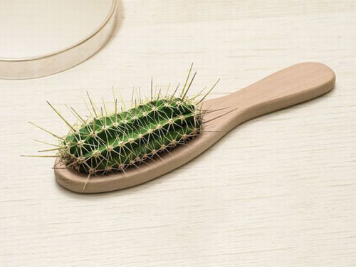 cactus-brush.jpg