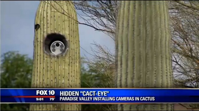cactus-camara-trafico-arizona-201521347_3.jpg